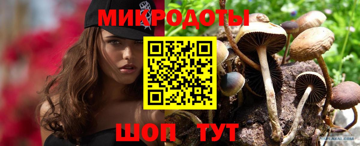 Псилоцибиновые грибы Psilocybe Мытищи