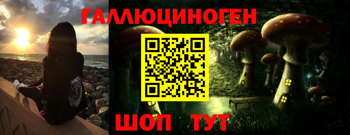 Галлюциногенные грибы MAGIC MUSHROOMS  Вход с VPN  магазин продажи наркотиков  Псилоцибиновые грибы Psilocybe  Мытищи 